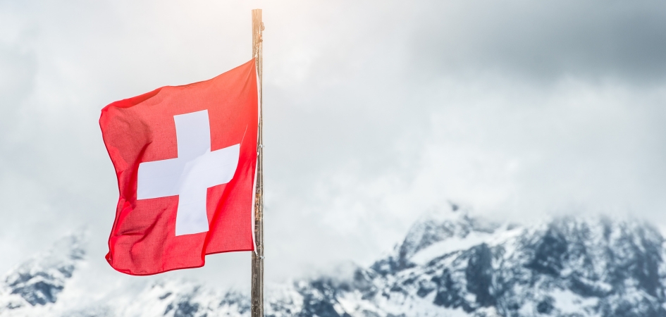 Steuerliche Differenzen unter den Kantonen der Schweiz. Die Schweizer Flagge